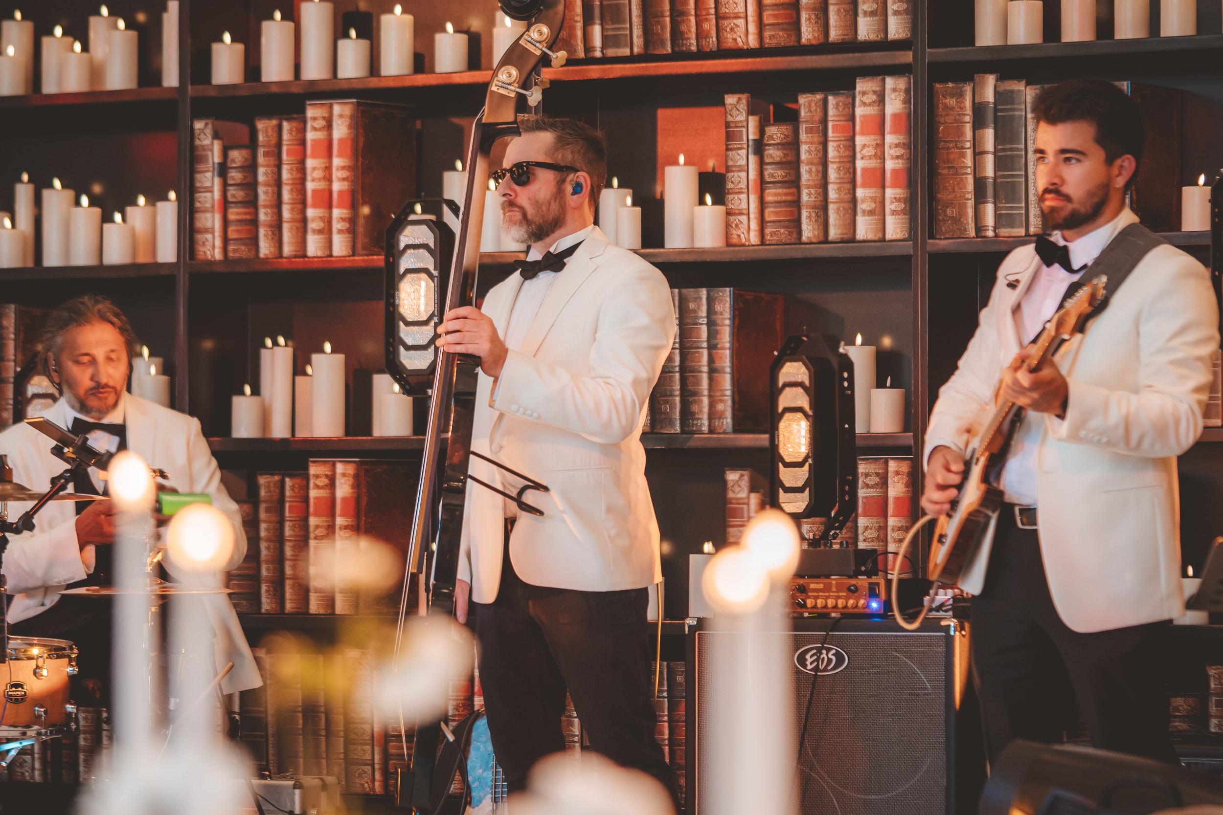 Dream band string musicians.